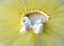 Load image into Gallery viewer, Yellow Tutu
